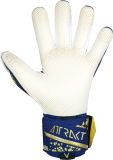 Reusch Attrakt Gold X GluePrint 5470974 4410 blau orange gold back